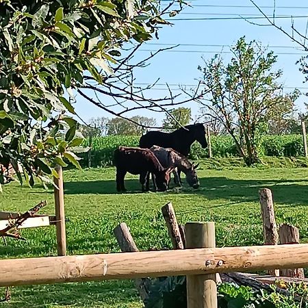 Domaine De Karoli Hotel Barneville-sur-Seine Kültér fotó